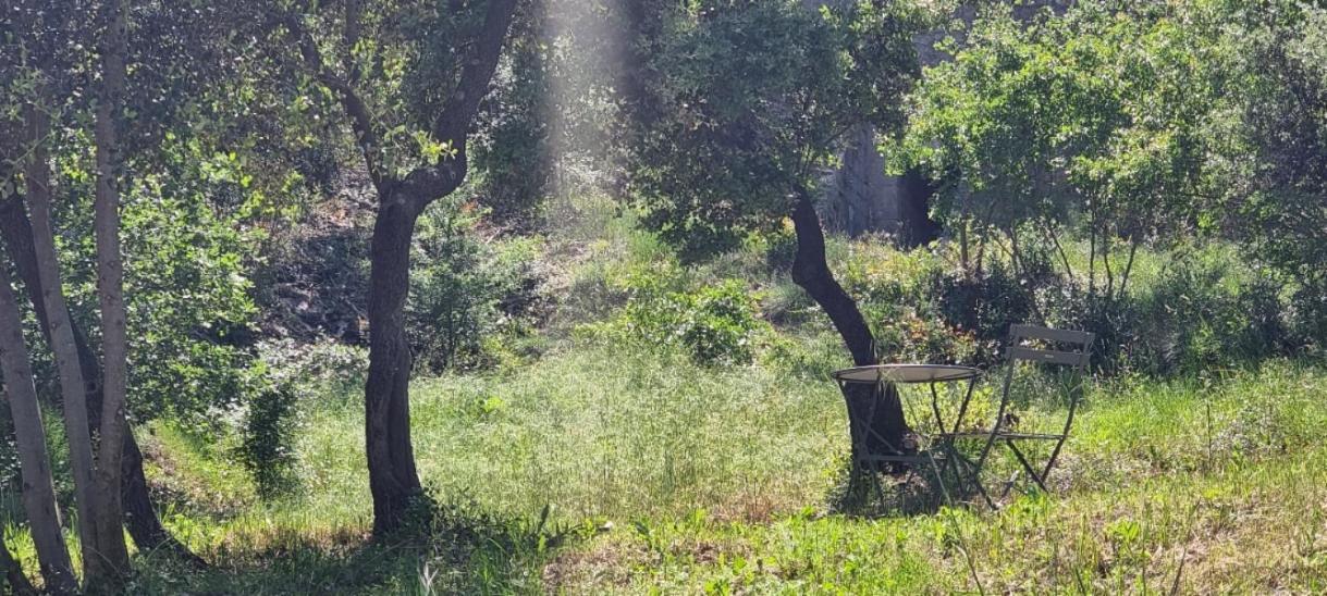 Aparthotel Les Bois De Zola Entre Provence Et Luberon Saint-Esteve-Janson Pokój zdjęcie