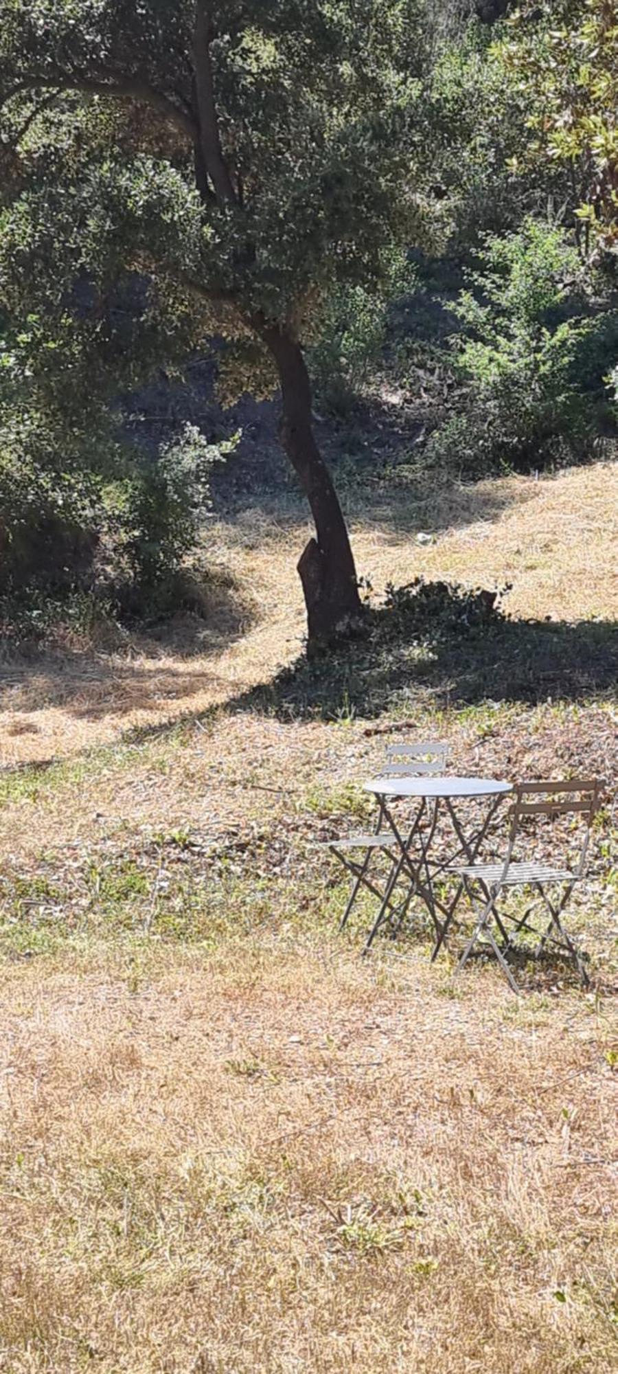 Aparthotel Les Bois De Zola Entre Provence Et Luberon Saint-Esteve-Janson Zewnętrze zdjęcie